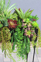 Asia Modern, sukulenty w donicy na stojaku, wys.110x40x58cm 