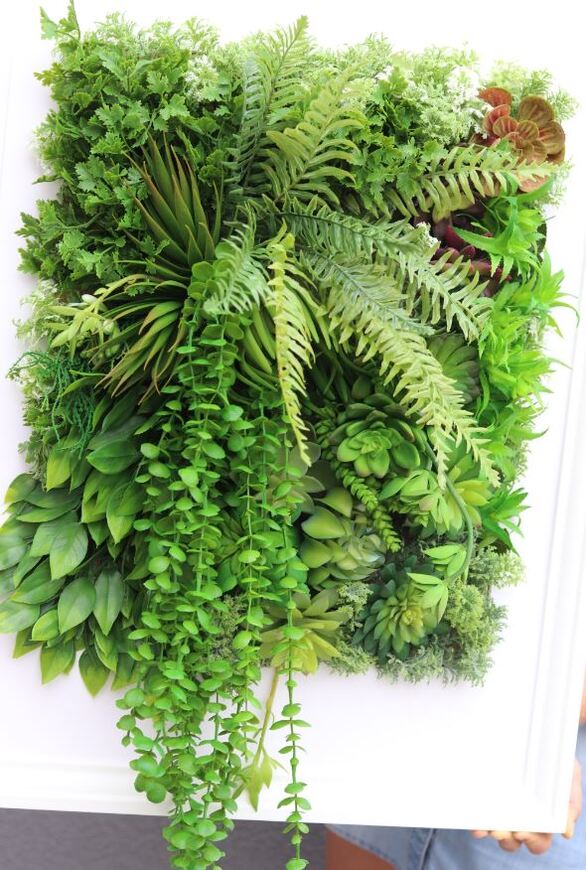 atrakcyjna jednostronna rama Hotels Sukulenty 4, wym.77x57cm 