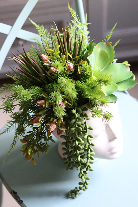 efektowna kompozycja sukulenty w głowie, Crazy Head, wys.34cm