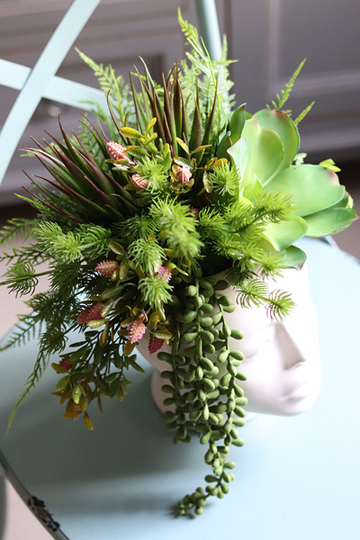 efektowna kompozycja sukulenty w głowie, Crazy Head, wys.34cm