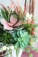 Albertina Design, kompozycja z sukulentami, wym.36x30cm