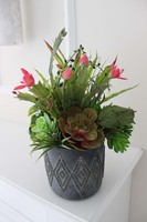 atrakcyjna kompozycja sukulenty Minerva, wys.30cm