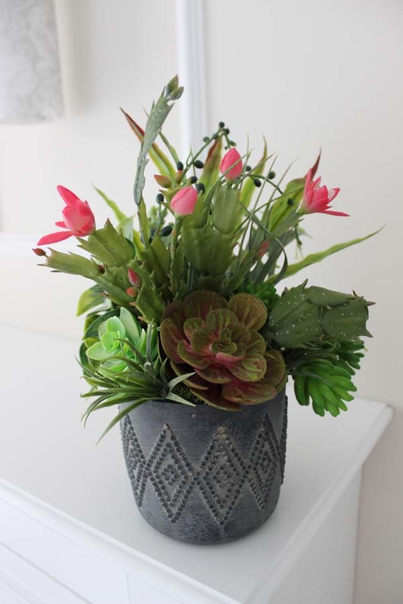 atrakcyjna kompozycja sukulenty Minerva, wys.30cm