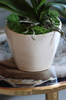 czerwony storczyk w ceramicznej donicy, Miedziany, wys.42cm