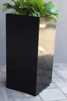 Grande Fiberglass Black Extra, efektowny storczyk w czarnej donicy z fiberglass (połysk), wys.130cm