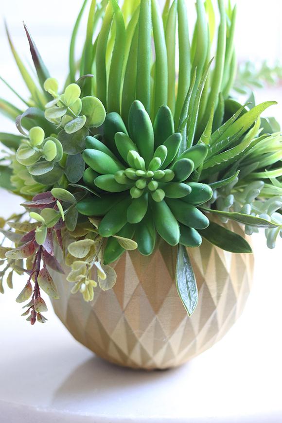 efektowna kompozycja sukulenty, Ferinato Gold B, wys.23cm