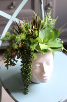 efektowna kompozycja sukulenty w głowie, Crazy Head, wys.34cm