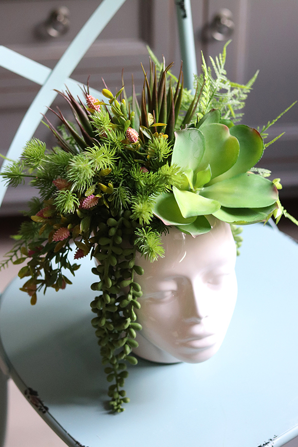 efektowna kompozycja sukulenty w głowie, Crazy Head, wys.34cm