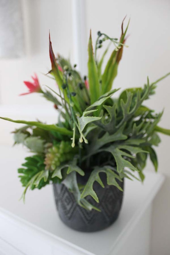 atrakcyjna kompozycja sukulenty Minerva, wys.30cm