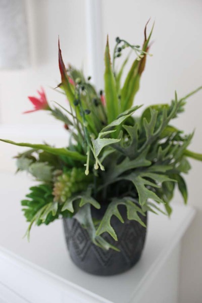 atrakcyjna kompozycja sukulenty Minerva, wys.30cm