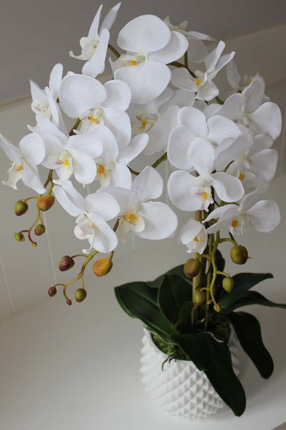 Kollessa, sztuczny storczyk w oryginalnej donicy, wys.66cm 