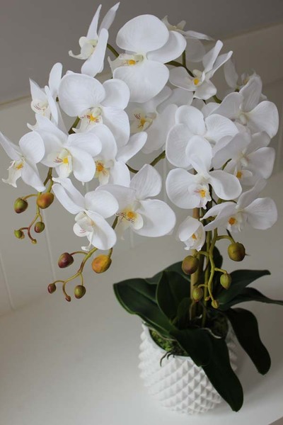 Kollessa, sztuczny storczyk w oryginalnej donicy, wys.66cm 