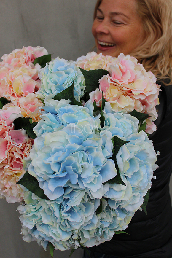 bukiet jasnoróżowych hortensji Samba 5szt. główek kwiatów, wys.46cm