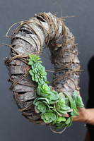 stylowy wianek z sukulentami na oryginalnym spodzie, Sukulentas, śr.32cm