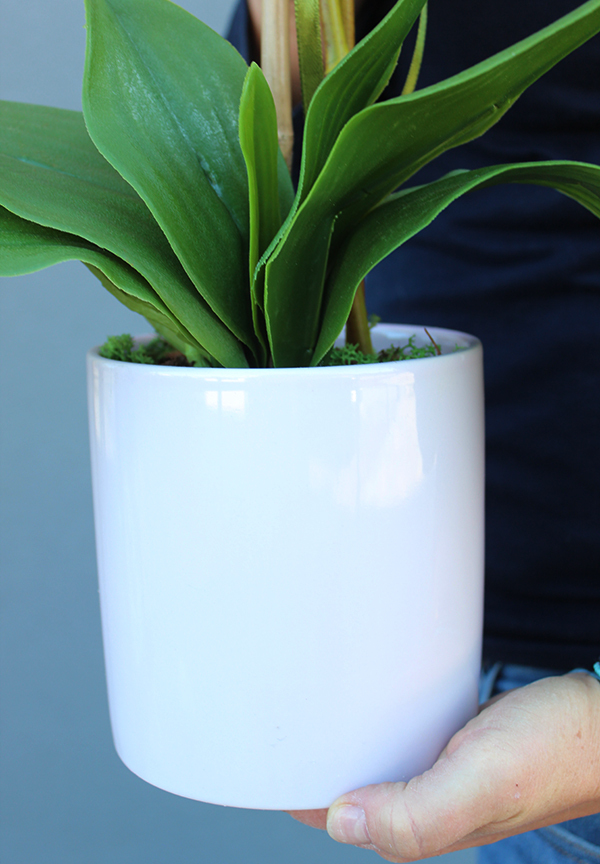 Billano storczyk w jasnoróżowej ceramicznej donicy, wys.56cm