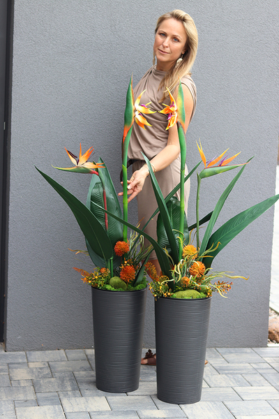 oryginalna kompozycja Strelicja Genassa, wym.145cm 