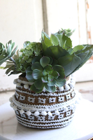 Boho Basket B, kompozycja sukulenty w donicy - koszu, wym.27x32cm