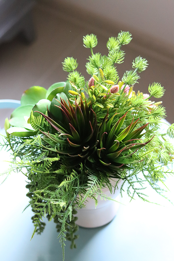 efektowna kompozycja sukulenty w głowie, Crazy Head, wys.34cm