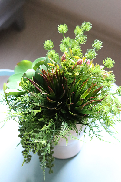 efektowna kompozycja sukulenty w głowie, Crazy Head, wys.34cm