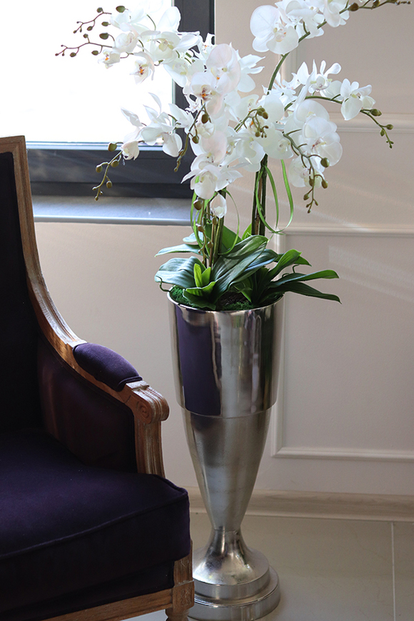 ekskluzywny storczyk w pucharze, Beethoven Silver, wys.130cm  