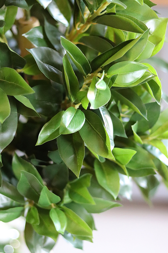 Drzewko Ficus, sztuczne drzewo w osłonce z tworzywa, wys.139cm 