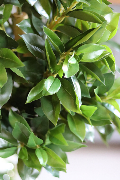 Drzewko Ficus, sztuczne drzewo w osłonce z tworzywa, wys.139cm 