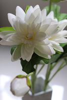 OD RĘKI Amareo, lilia wodna na gałązce, biała, dł. 125cm