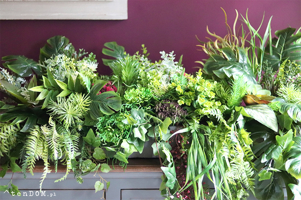 GreenViet Premium, egzotyczna kompozycja roślinna, 1m bieżący