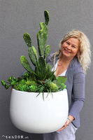 Desideria Cacti Fiberglass, sukulenty z kaktusem w białej donicy,  wys.92cm