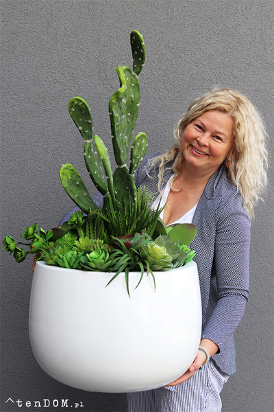 Desideria Cacti Fiberglass, sukulenty z kaktusem w białej donicy,  wys.92cm