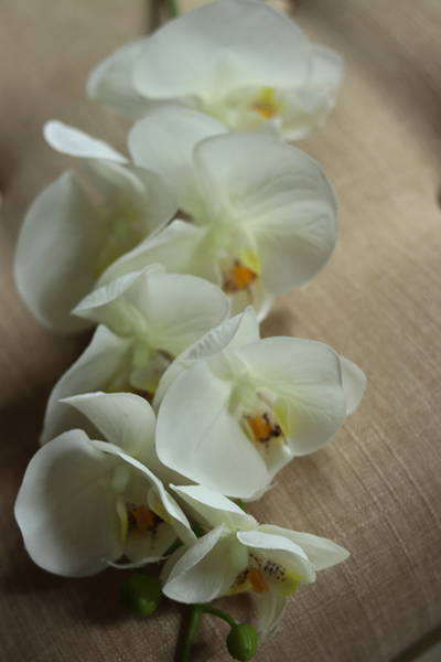 gałązka kwiatowa, sztuczny storczyk / orchidea Gumowy, 1 szt, dł.85cm