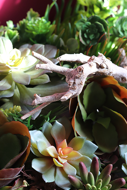 efektowna kompozycja Sukulenty, wym.40x50cm