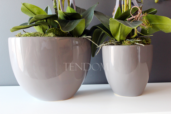 dwa storczyki w szarych donicach Rebeca, wys. obu 69 i 68cm