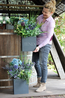 kompozycja Fiolet w sześciennej donicy, wys.60cm