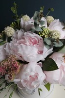 kompozycja kwiatowa / bukiet / Flowerbox, Kamelia, wys.38cm