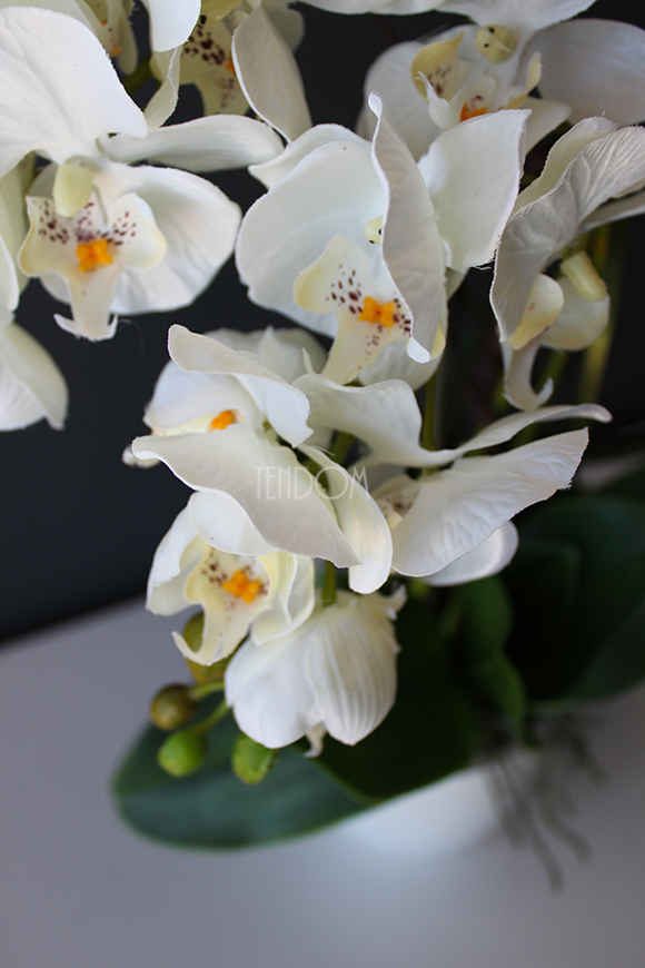 storczyk Mini Orchid w biało-srebrnej donicy, wys.50cm