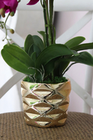 efektowny sztuczny storczyk, Ramona, wys.57cm