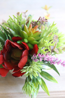 Tofio, kompozycja sukulenty w okrągłej donicy, wys.16cm