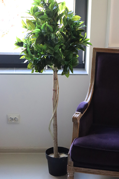 Drzewko Ficus, sztuczne drzewo w osłonce z tworzywa, wys.139cm 