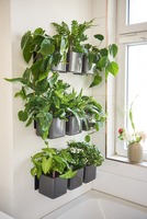 Cube Home Kit, uchwyt magnetyczny do mocowania donic, 1szt