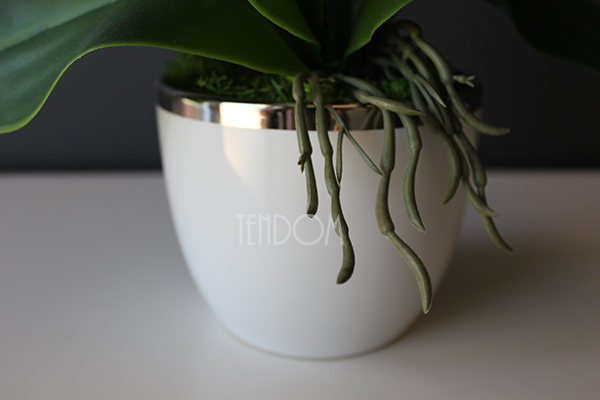 storczyk Mini Orchid w biało-srebrnej donicy, wys.50cm