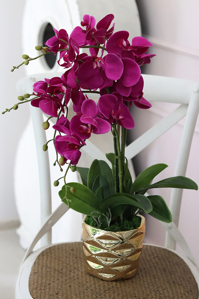 efektowny sztuczny storczyk, Ramona, wys.57cm