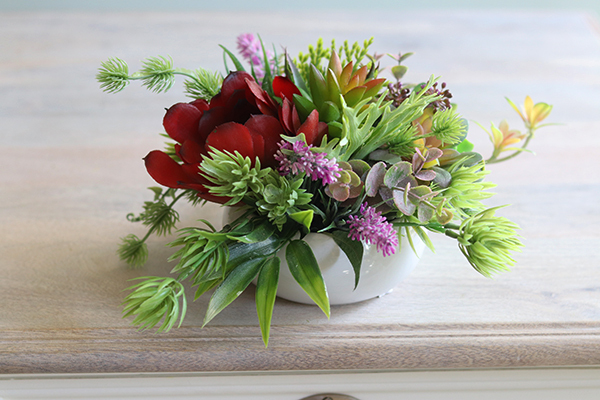 Tofio, kompozycja sukulenty w okrągłej donicy, wys.16cm