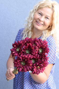 Gerbery Flamenco, bukiet bordowych kwiatów, dł.51cm