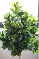 Drzewko Ficus, sztuczne drzewo w osłonce z tworzywa, wys.139cm 