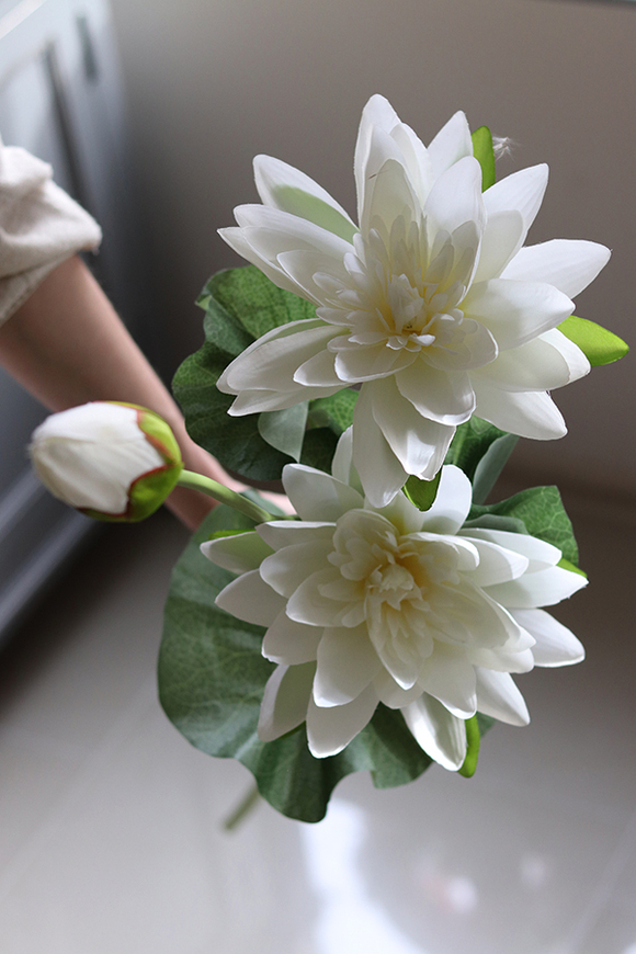 OD RĘKI Amareo, lilia wodna na gałązce, biała, dł. 125cm