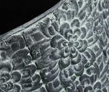 Rocca Stone A, wysoka doniczka / osłonka, wym.29x29x36cm