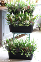 Majowa Łąka, zielona kompozycja w twojej donicy, wym.38x70x30cm