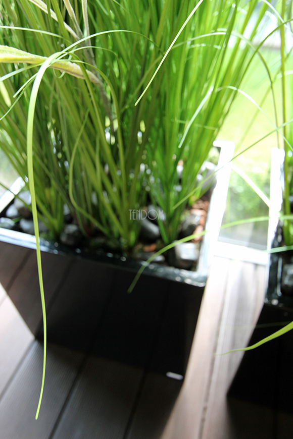 kompozycja Trawy Macarena w sześciennej czarnej donicy, wys.140cm 