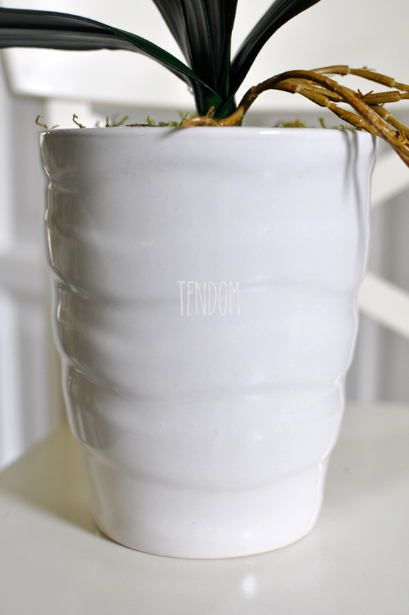 storczyk Odessa w ceramicznej, białej donicy wys. ok. 51cm